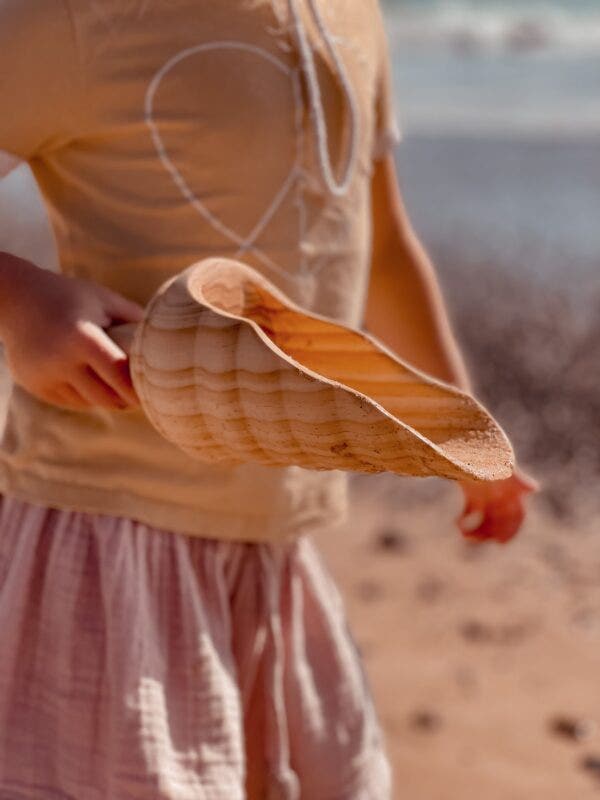 Large Wooden Scoop
