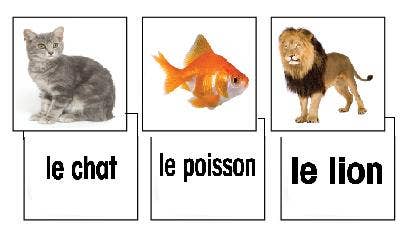 les animaux Flashcards