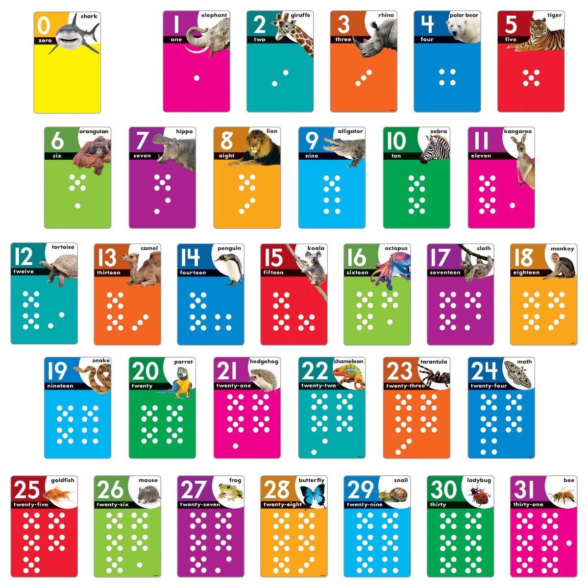 Lets Count Animals 0-31 Learning Set