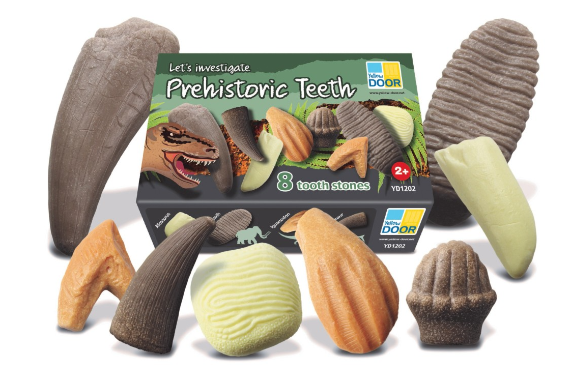 Lets Investigate Prehistoric Teeth