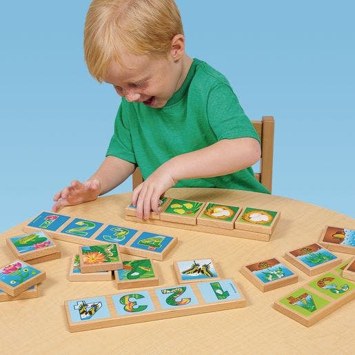 Life Cycles Sequencing Lotto