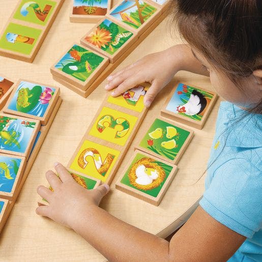 Life Cycles Sequencing Lotto