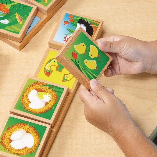 Life Cycles Sequencing Lotto