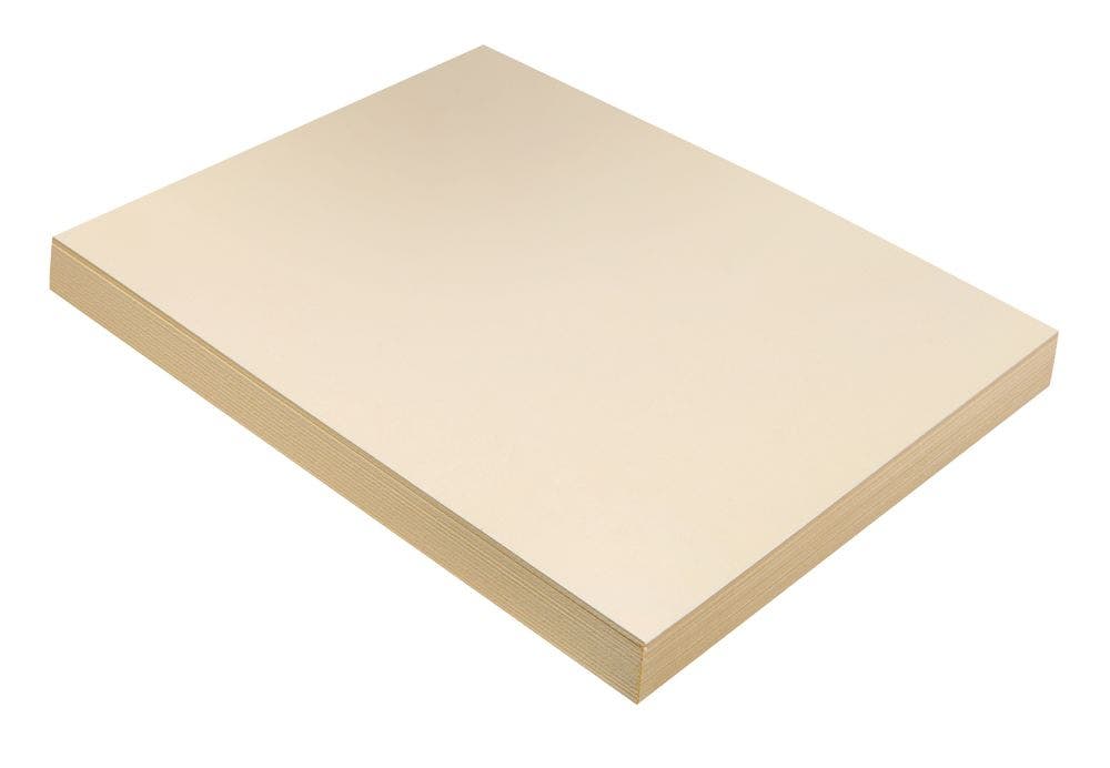 Manilla Tag Paper 9 x 12