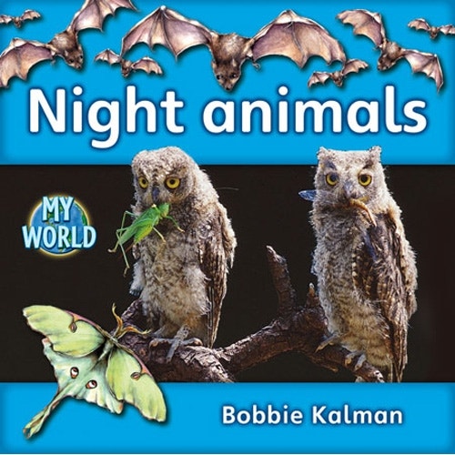 Night Animals Reader Level E