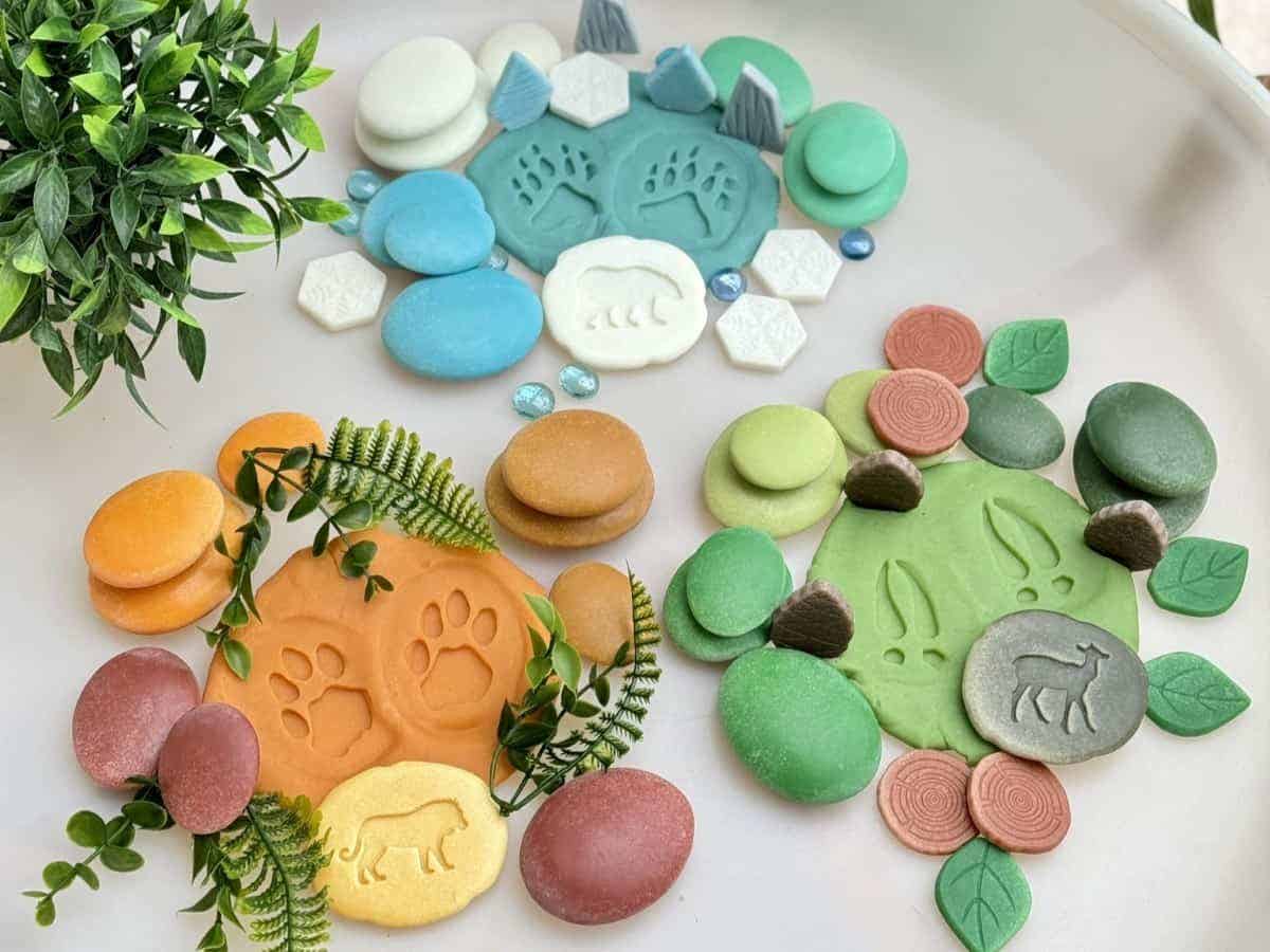 Natural Sorting Stones Nature Collection