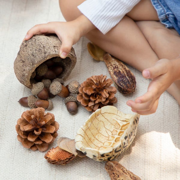 Nature's Geometry Loose Parts STEM Kit