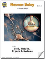 Neuron Relay Lesson Plan Ebook