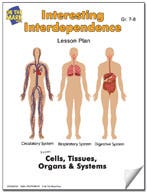 Interesting Interdependence Lesson Plan Ebook