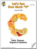 Lets See How Much C Lesson Plan Ebook