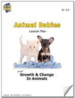 Animal Babies Lesson Plan Ebook