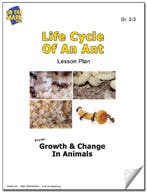 Life Cycle of an Ant Lesson Plan Ebook