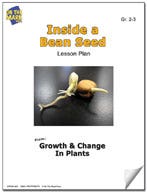 Inside a Bean Seed Lesson Plan Ebook