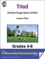 Triad Lesson Plan (eLesson eBook) Ebook