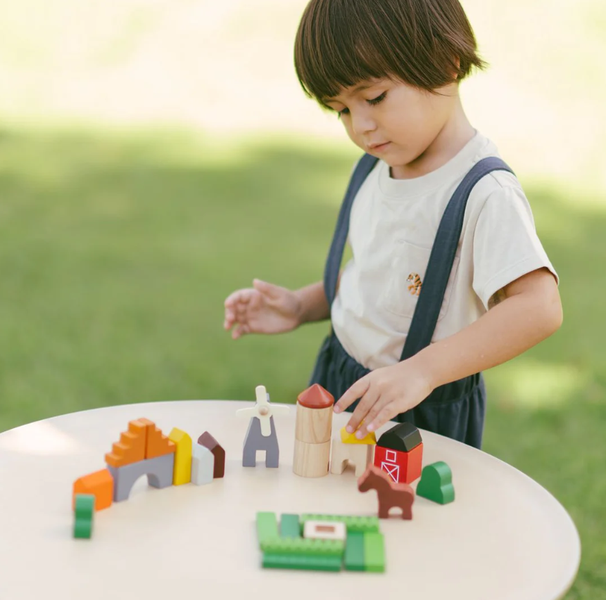Plan Toys Country Blocks