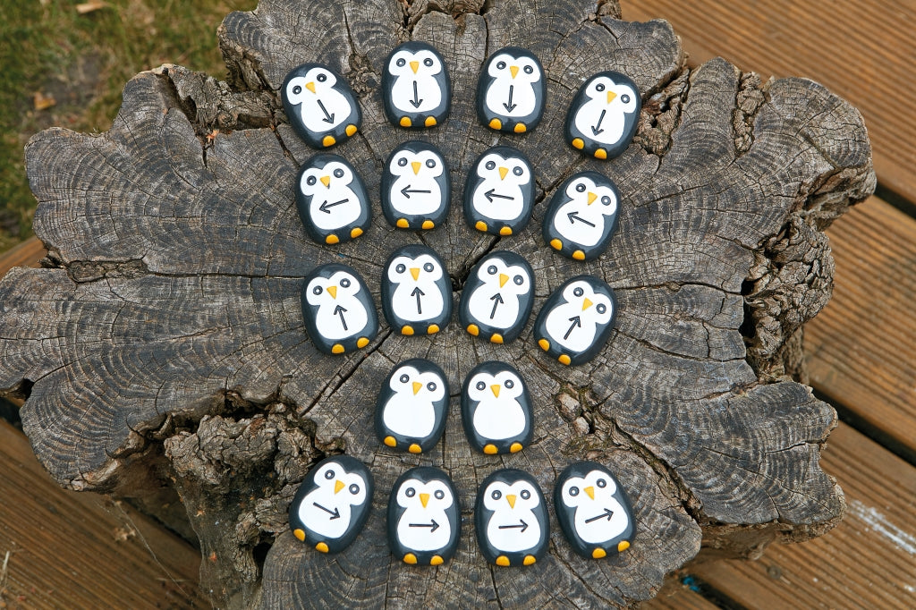 Pre-Coding Penguins Stones