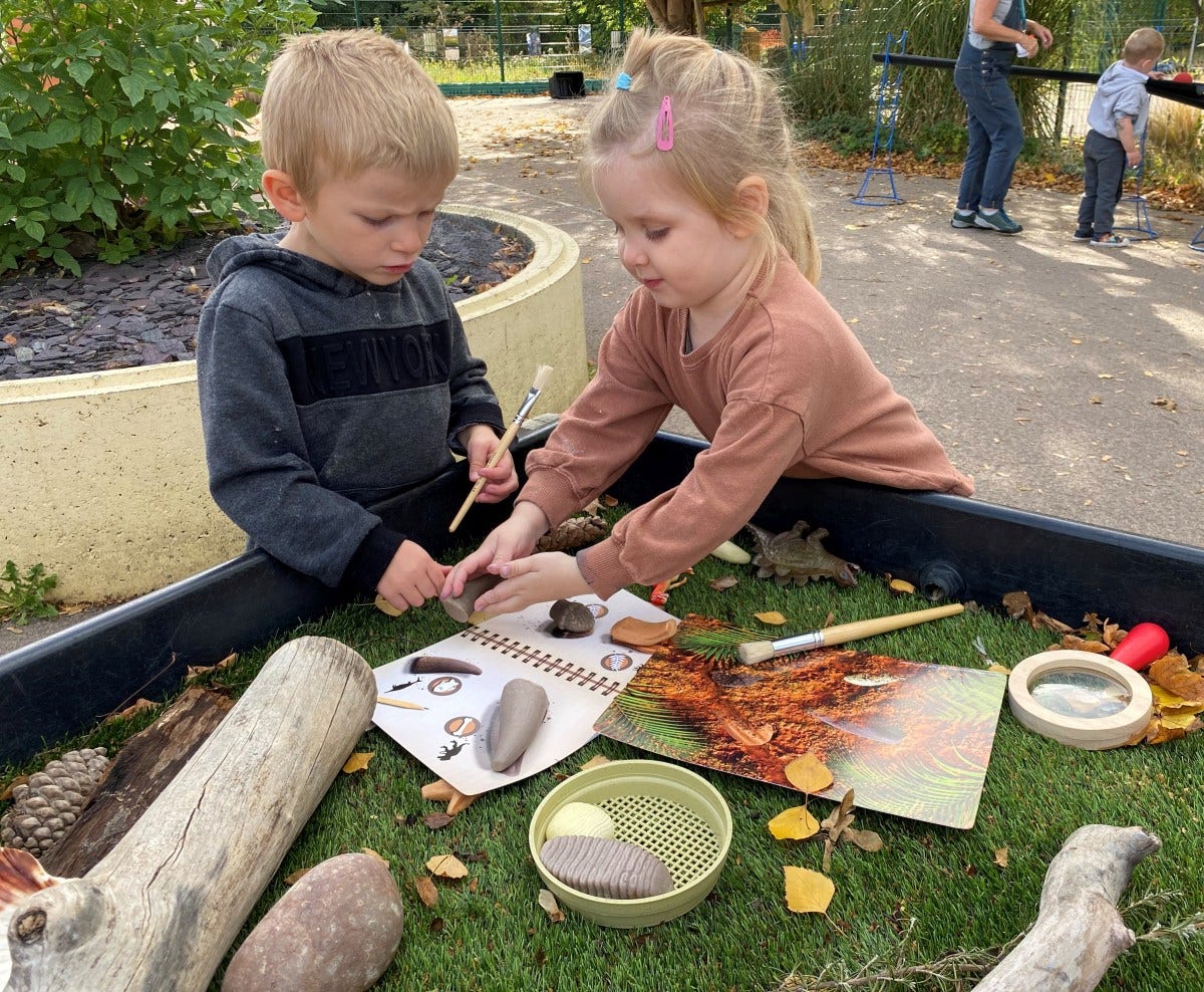 Prehistoric Teeth Activity Cards
