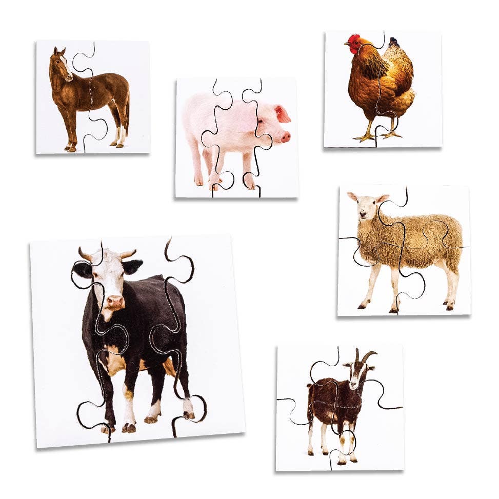 Real Life First Puzzles Farm