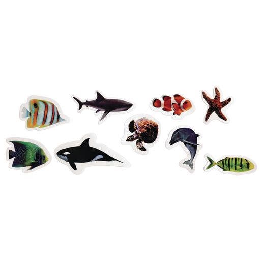 Real Photo Sea Life Foam Stickers 250 pc
