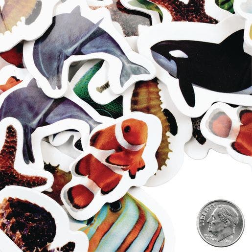 Real Photo Sea Life Foam Stickers 250 pc