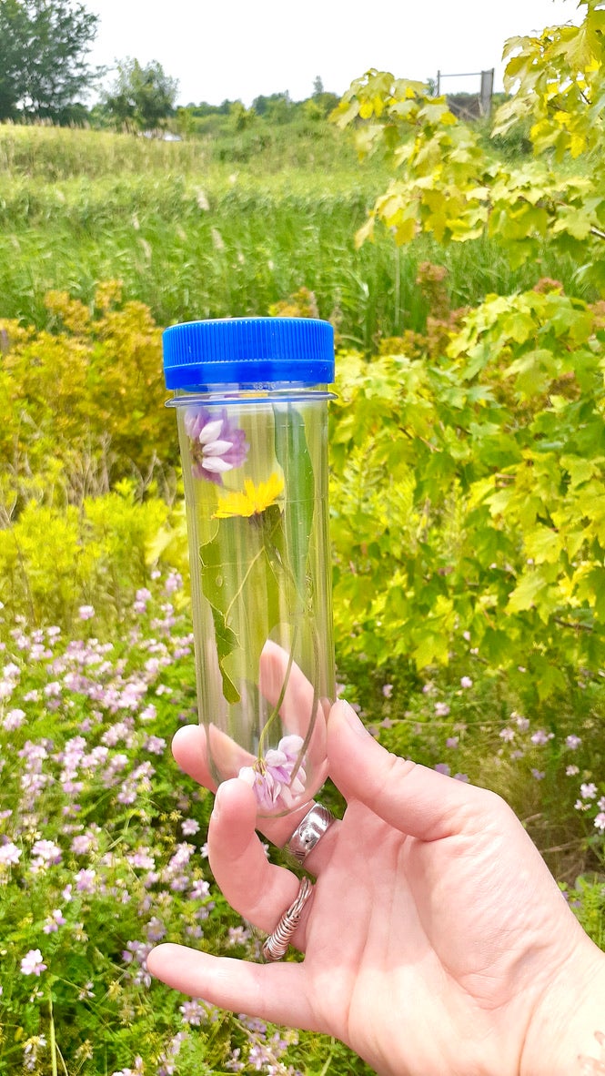 Scholars Choice Outdoor Starter Set