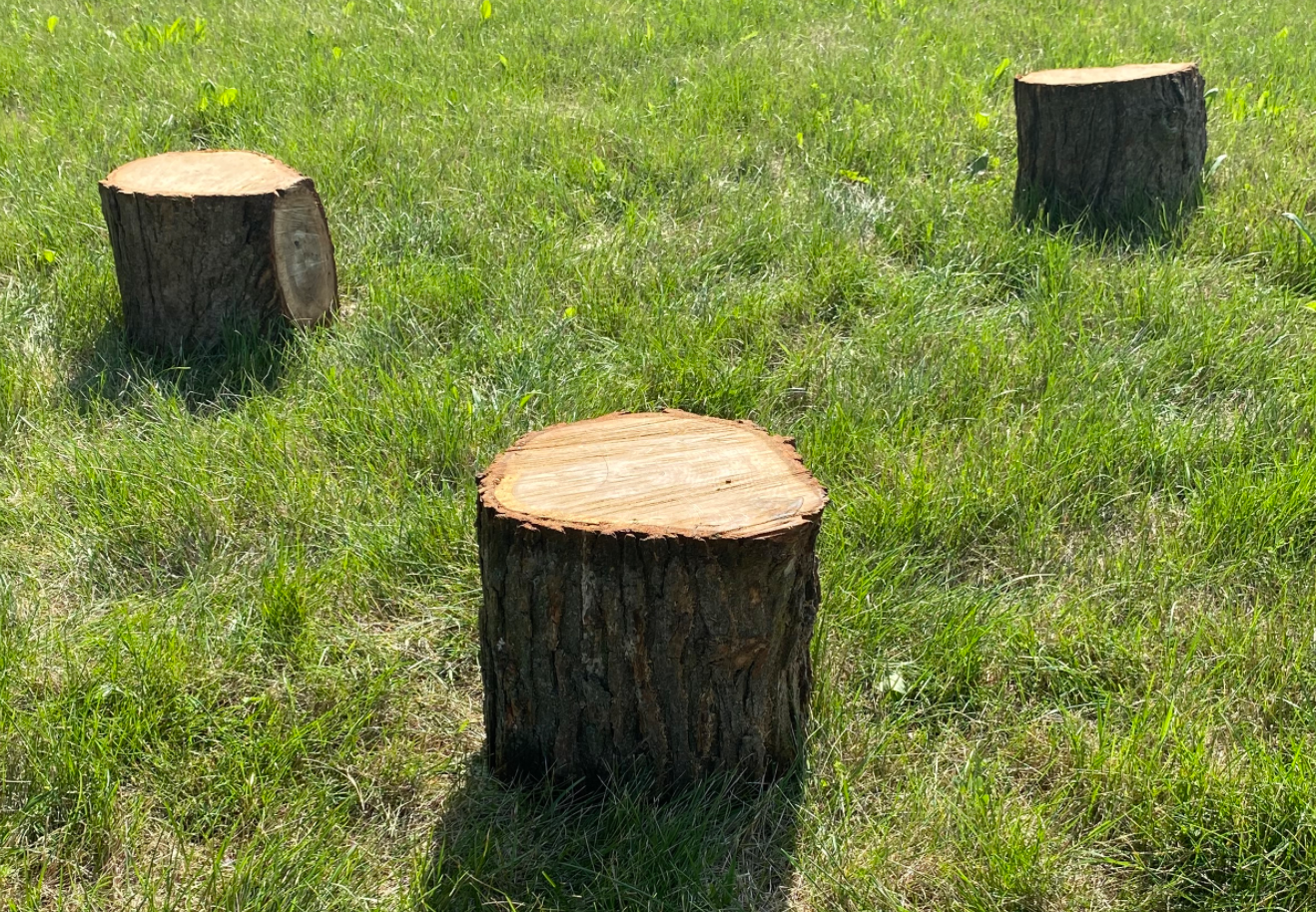Stump Stool 10 inch by Naturally Inspired Play