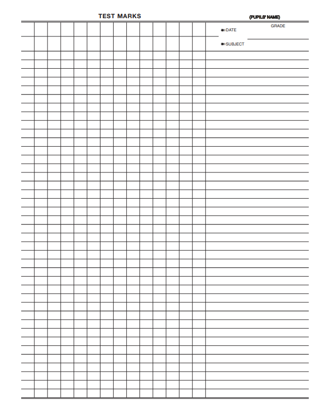 Secondary Teachers Daily Plan and Record (Red)
