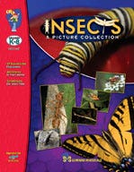Insect Picture Collection Ebook