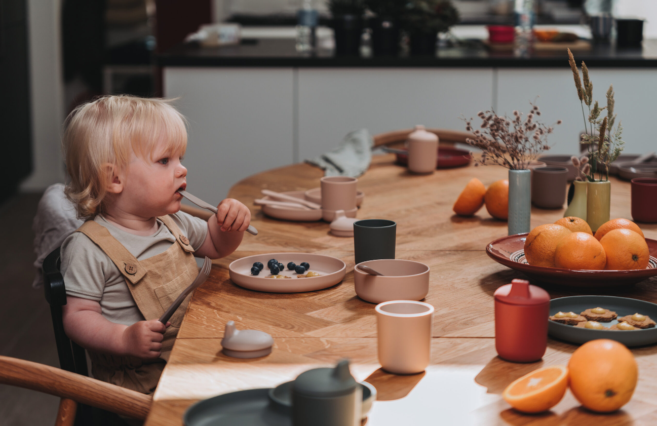 Tiny Biobased Breakfast and Lunch Set
