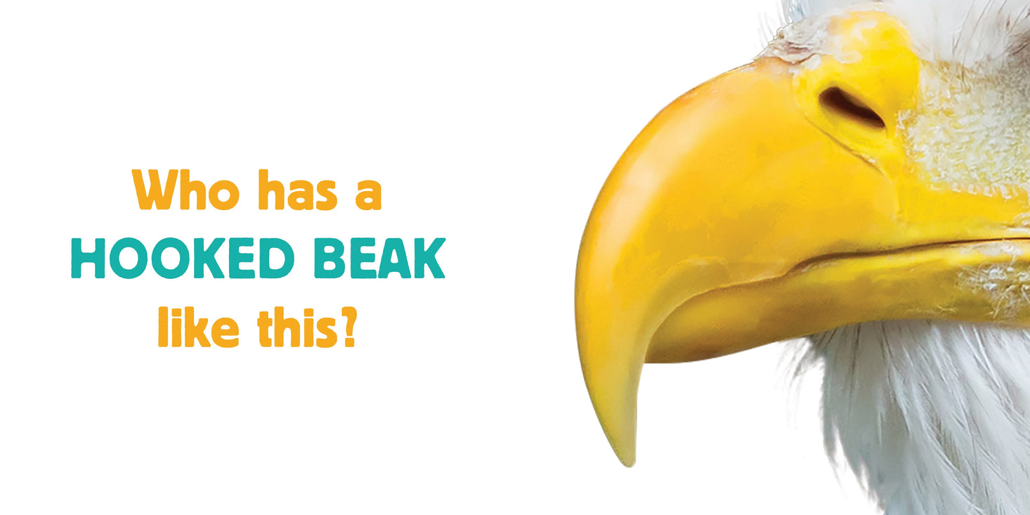 Whose is it Beak