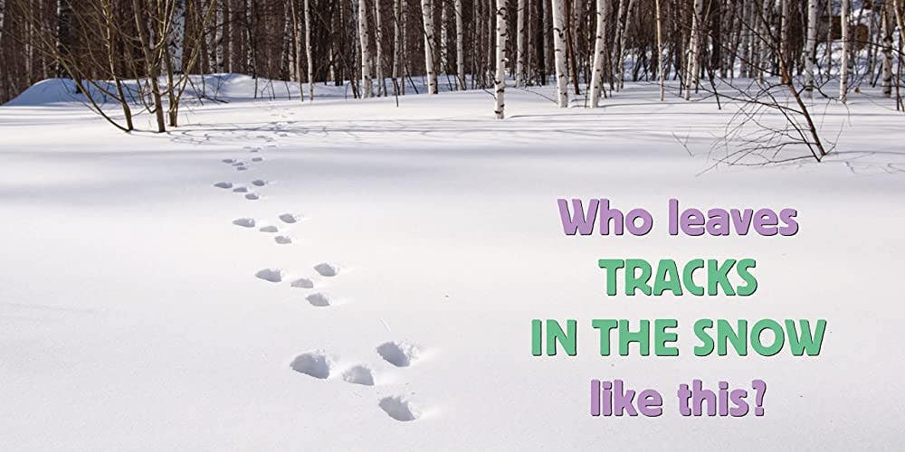 Whose is it Tracks