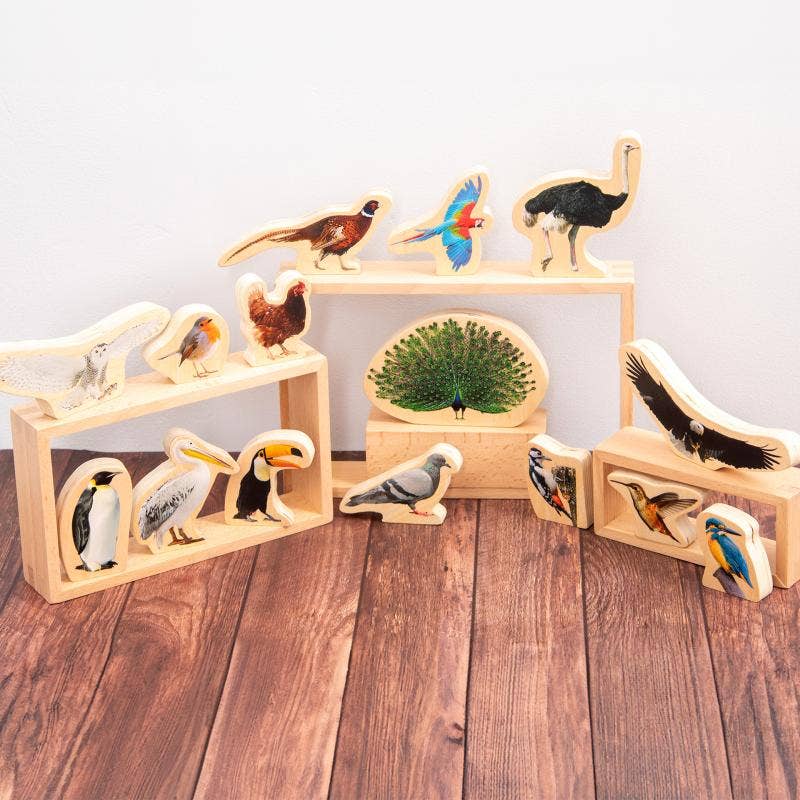 Wooden Bird Blocks