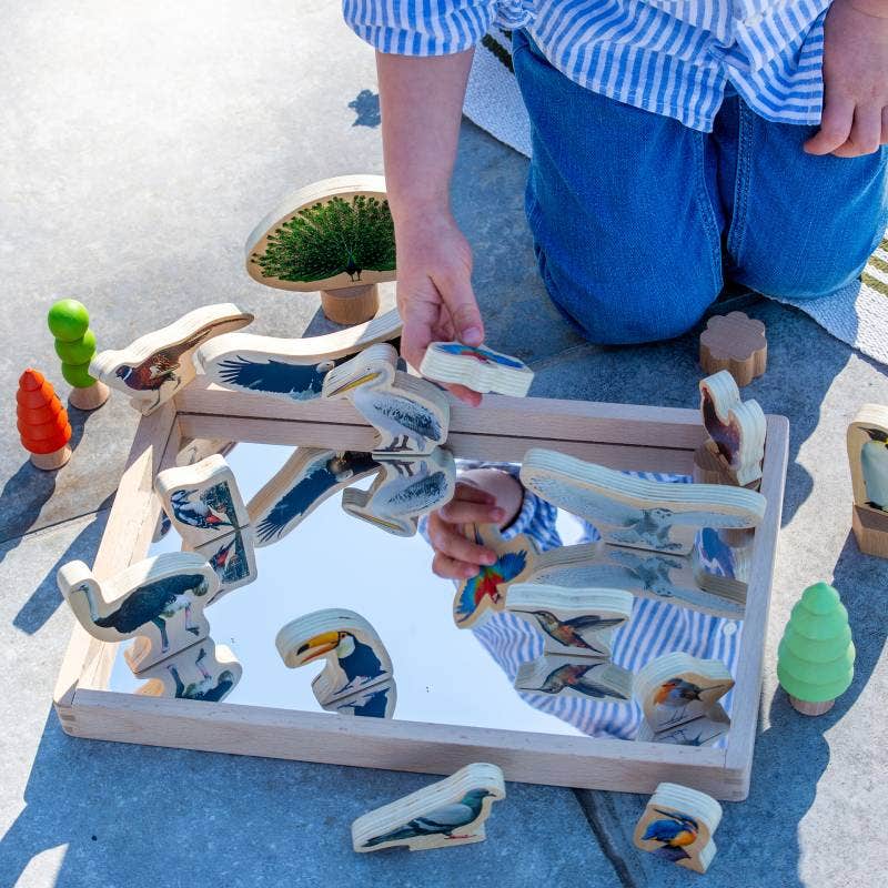 Wooden Bird Blocks