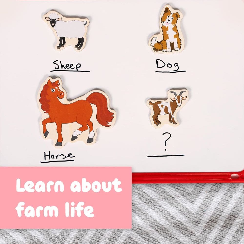 Wooden Magnets - Farm