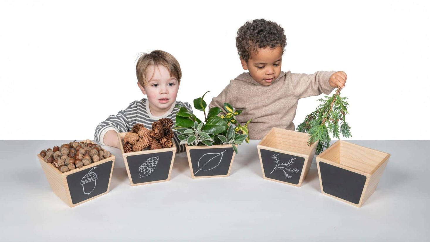 Wooden Sorting Pots Pack of 5
