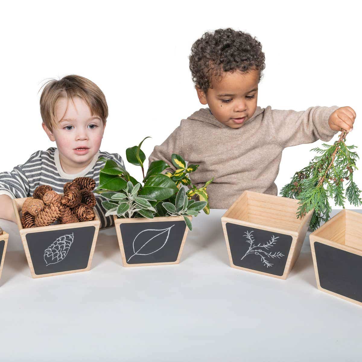 Wooden Sorting Pots Pack of 5