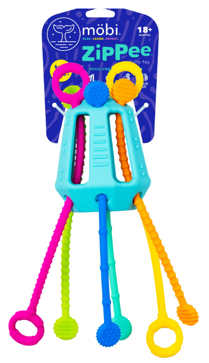 Zippee Activity Toy