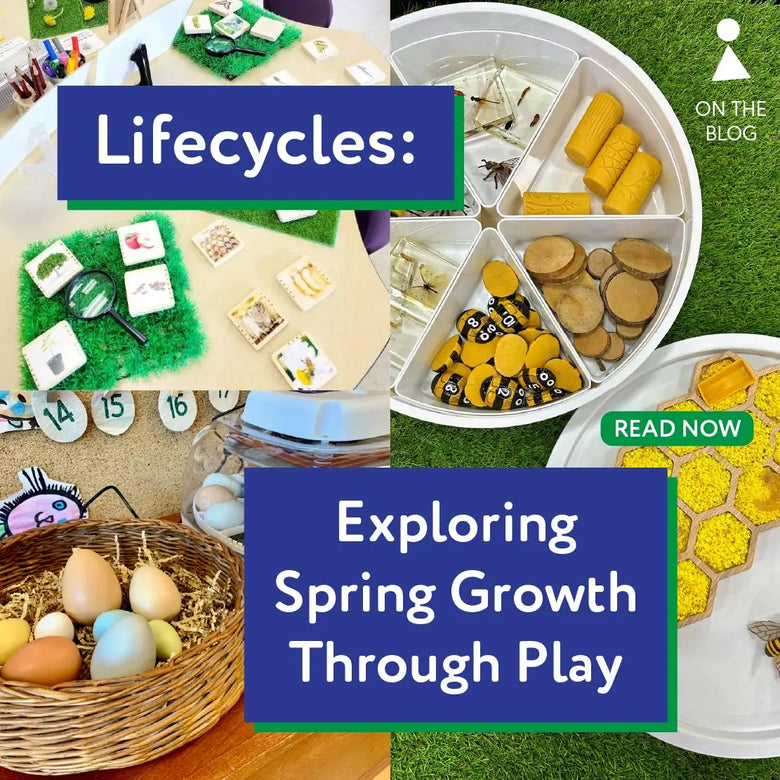 Lifecycles: Exploring Spring Growth Through Play