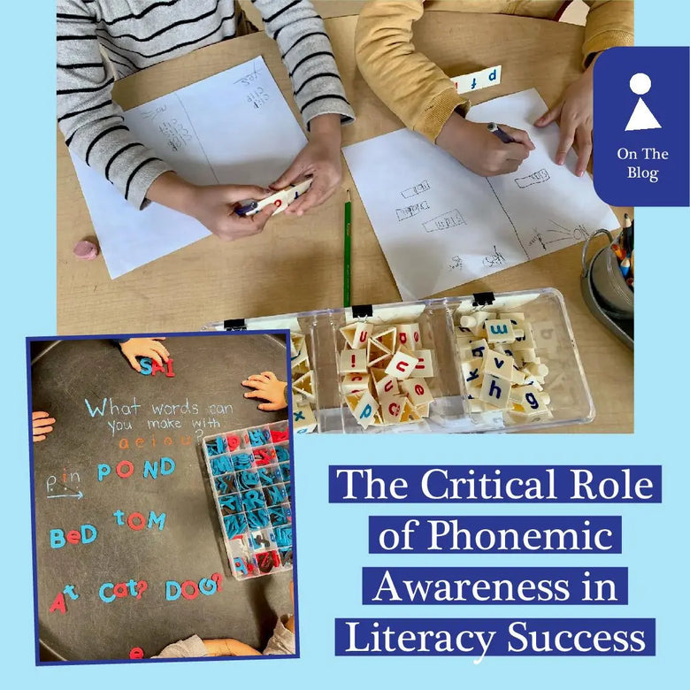 The Critical Role of Phonemic Awareness in Literacy Success