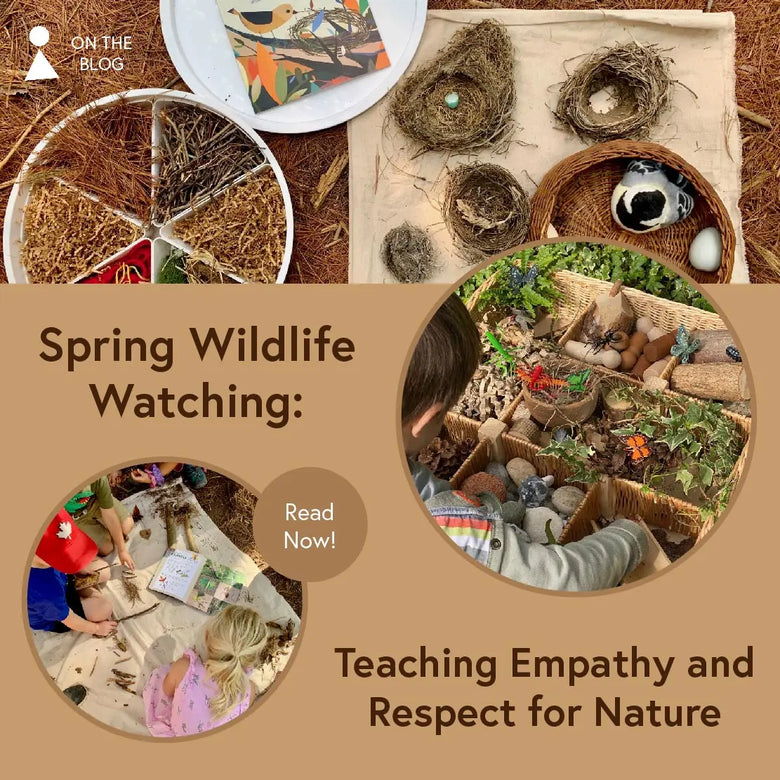 Spring Wildlife Watching: Teaching Empathy and Respect for Nature