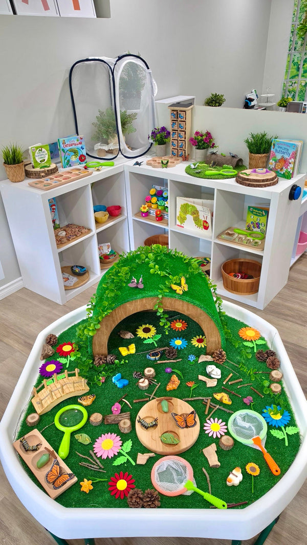 Katrina's Butterfly Shelfie