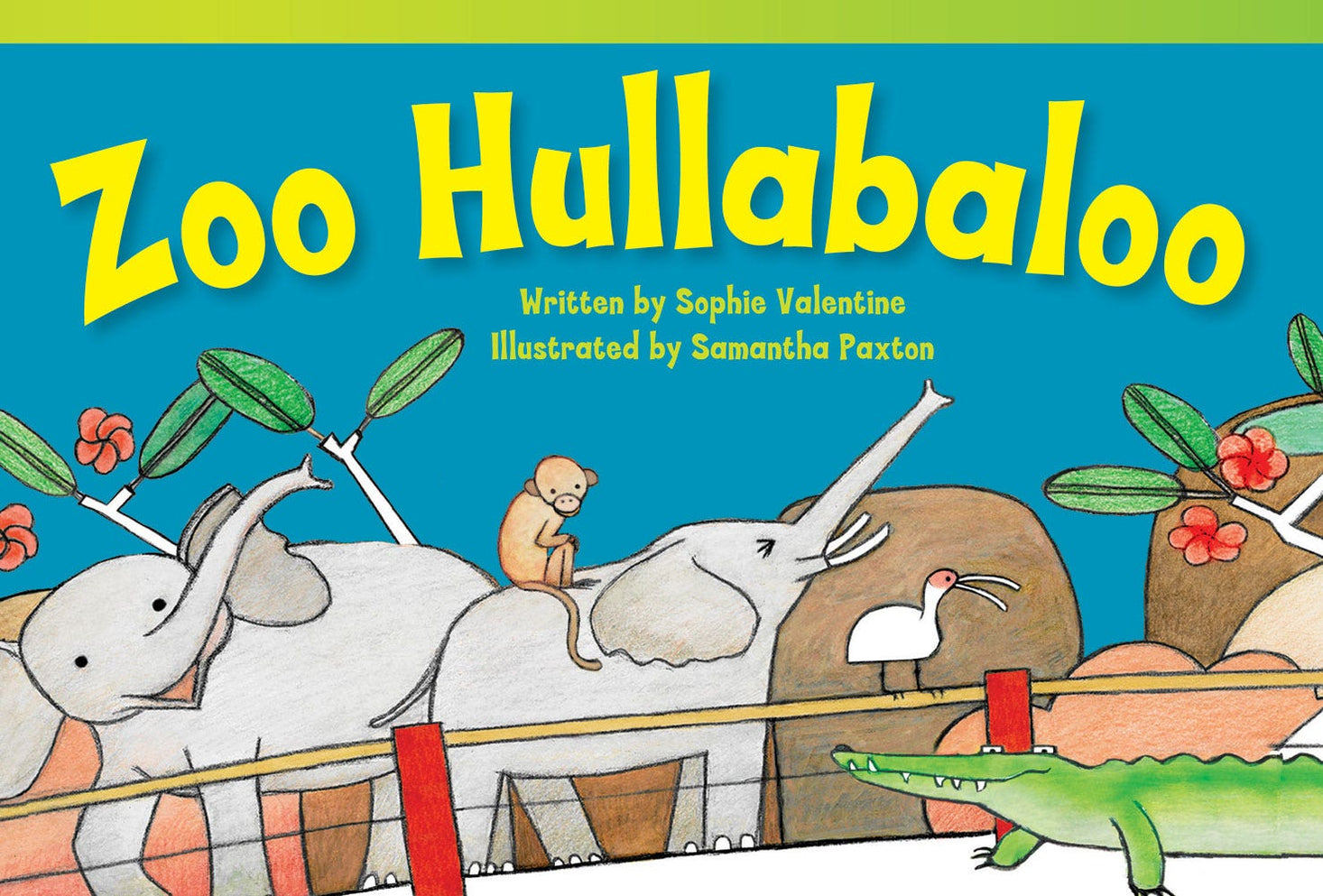 Zoo Hullabaloo Ebook