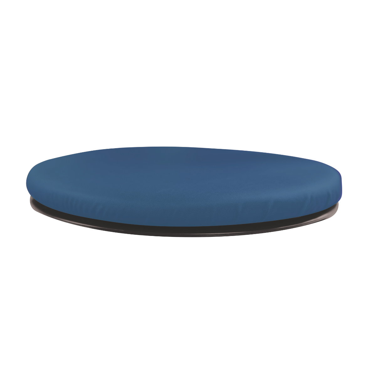 Sit & Twist Active Seat Cushion