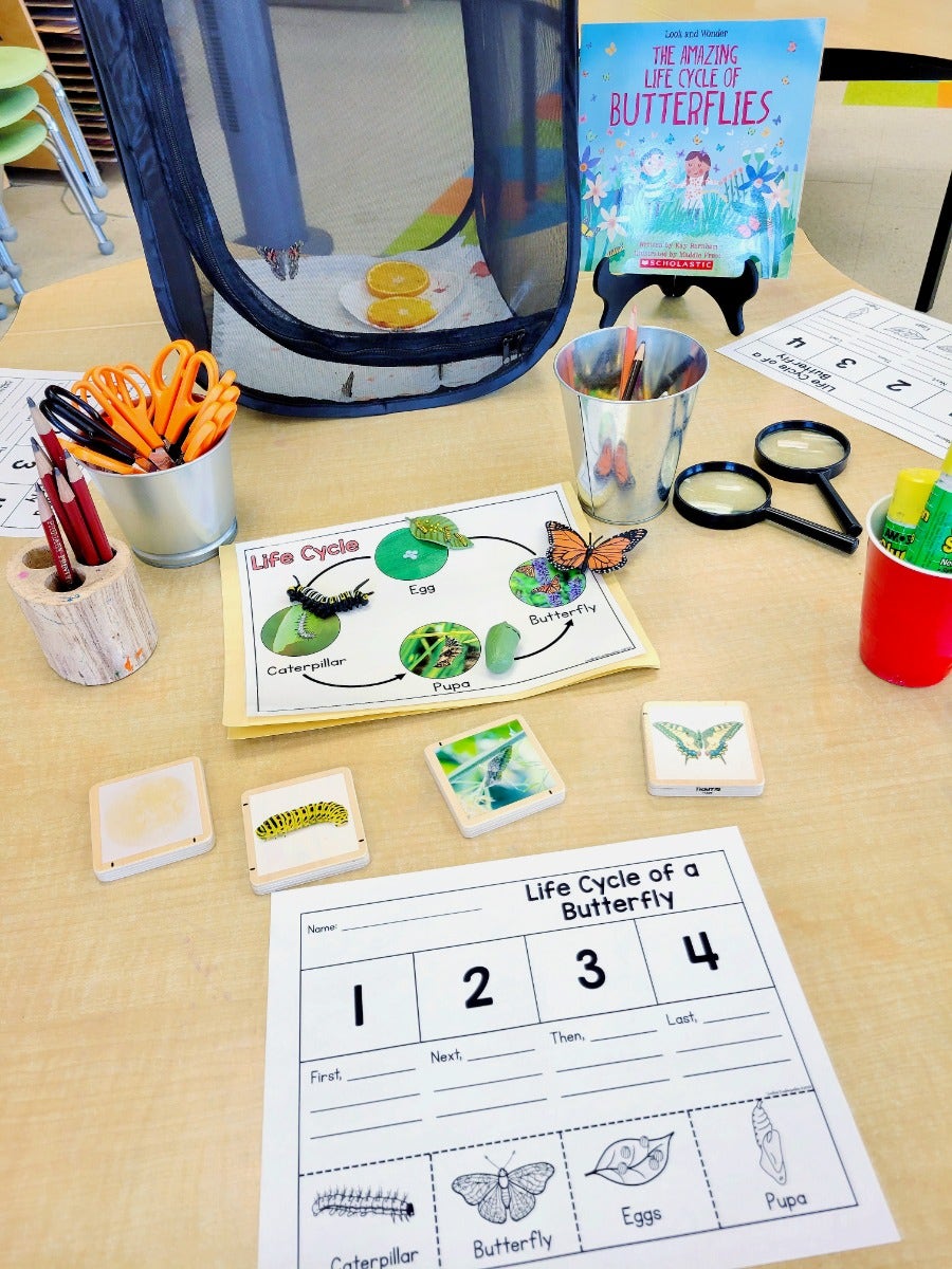 Life Cycle of a Monarch Butterfly