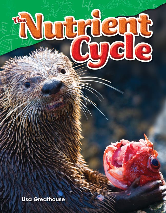 The Nutrient Cycle Ebook