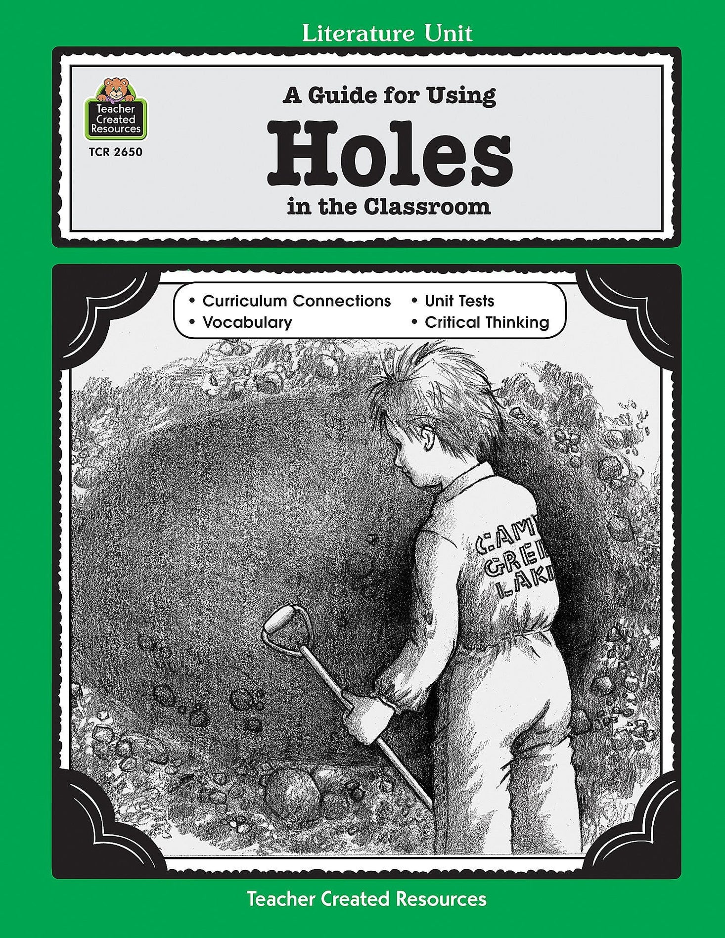 A Guide for Using Holes in the Classroom Ebook