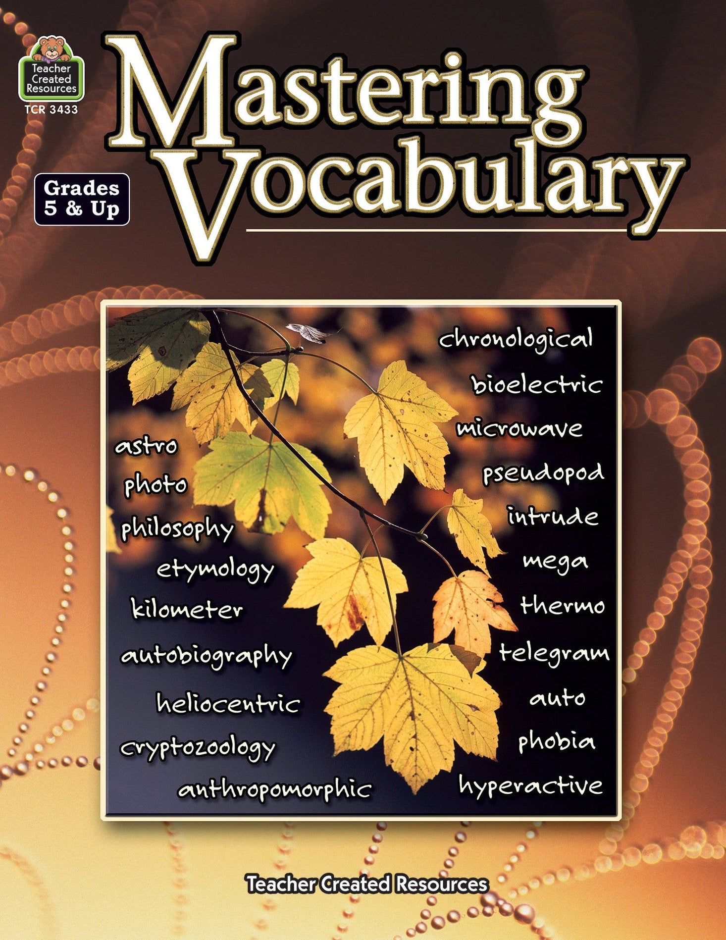 Mastering Vocabulary Ebook