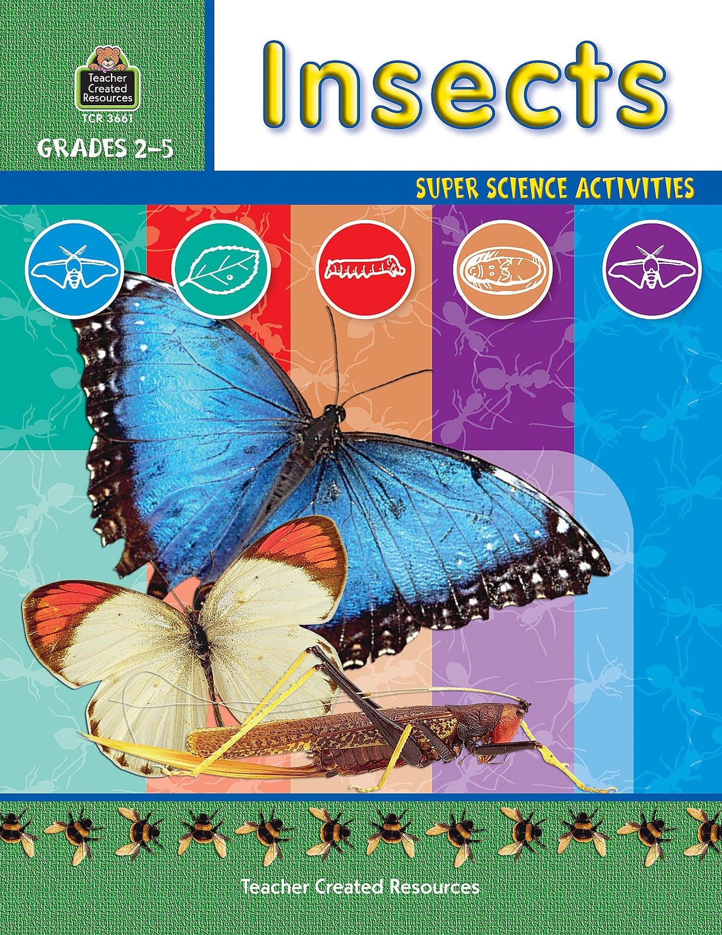 Insects Ebook