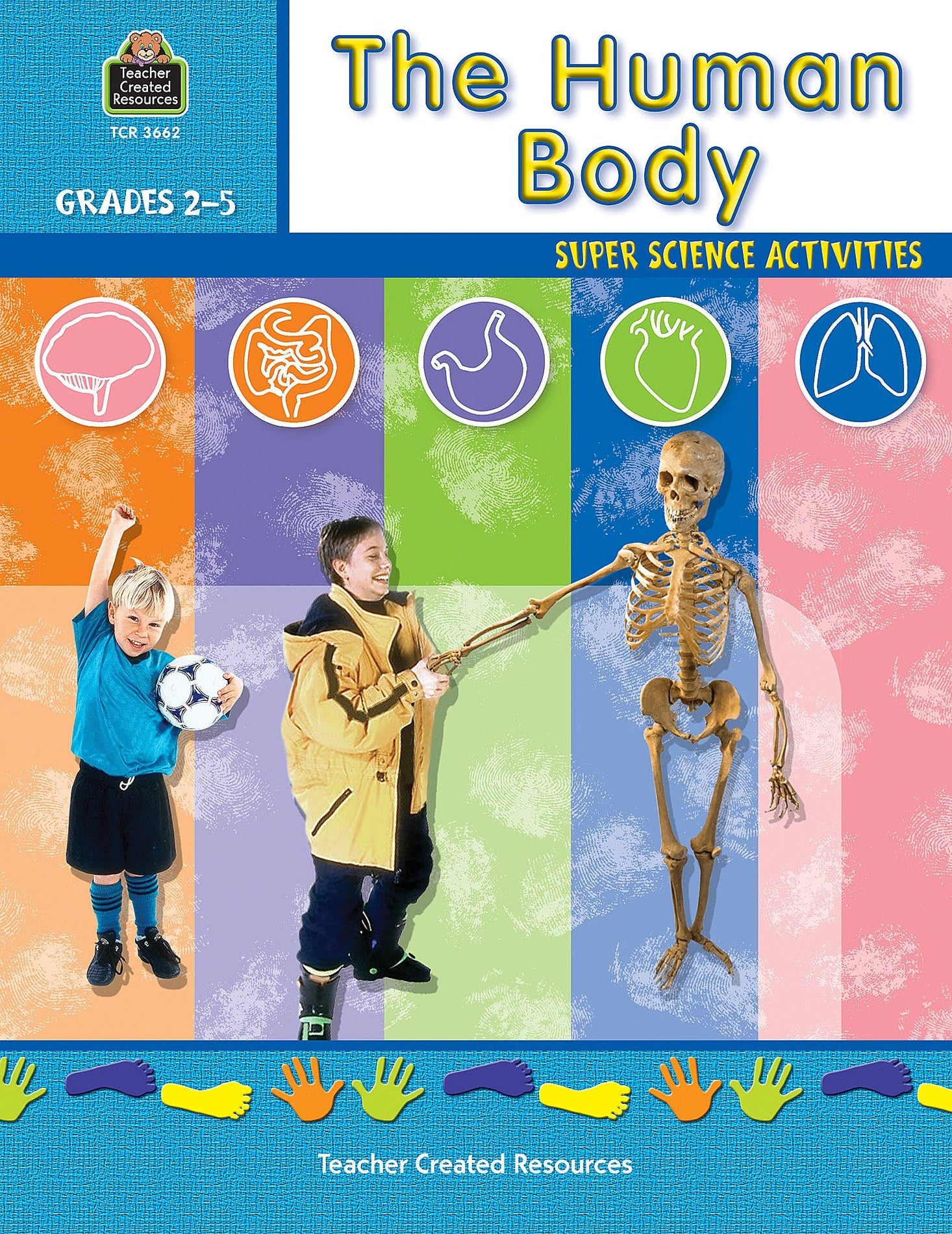 The Human Body Ebook