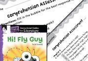 Hi! Fly Guy Comprehension Assessment Ebook